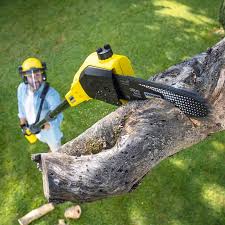 Best Lawn Maintenance Plans  in Watauga, TX